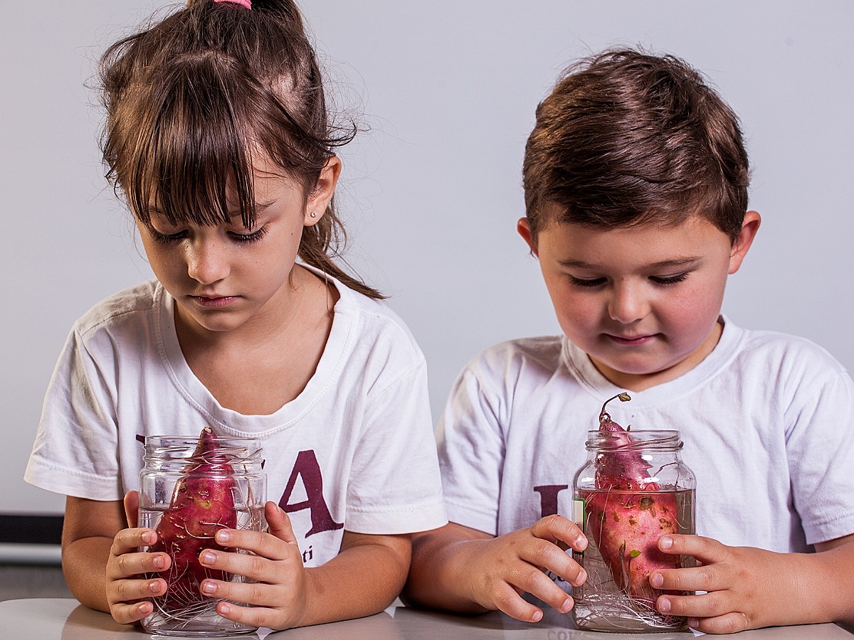 Proposta Pedagógica Ensino Fundamental - Colégio Visão